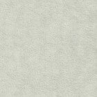 Светло-серый Канвас. v-371