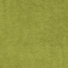 Зелёное яблоко Канвас. v-370